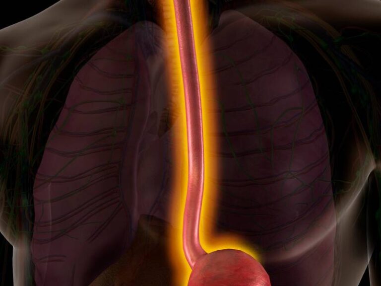 Transesophageal echocardiogram (TEE) Test | Dr. Kartik Bhosale